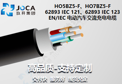 EN/IEC 电动汽车互换充电电缆